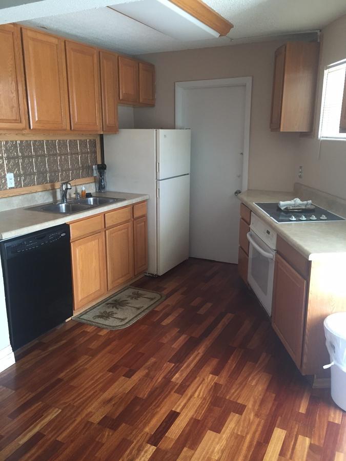 Seascape Inn - Daytona Beach Shores מראה חיצוני תמונה